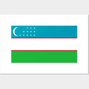 Flag of Uzbekistan Posters and Art